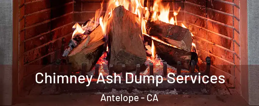  Chimney Ash Dump Services Antelope - CA