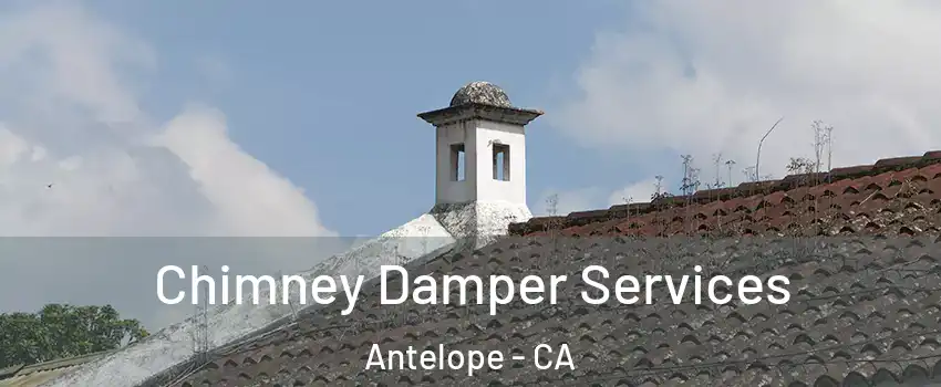  Chimney Damper Services Antelope - CA