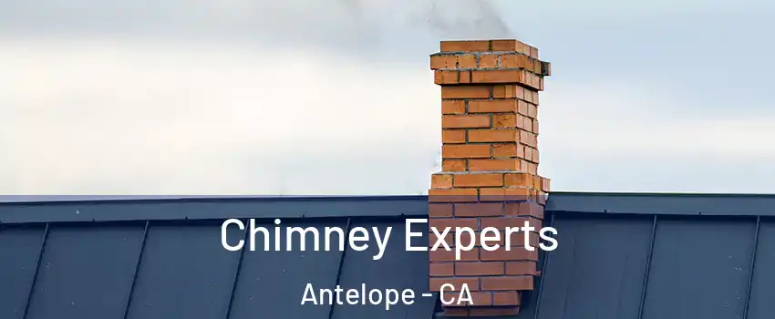 Chimney Experts Antelope - CA