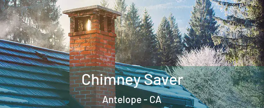  Chimney Saver Antelope - CA