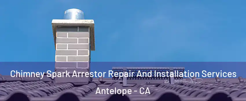  Chimney Spark Arrestor Repair And Installation Services Antelope - CA