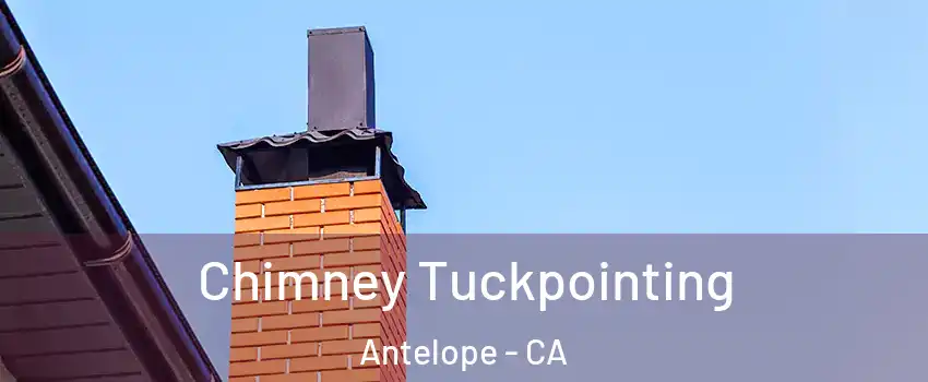  Chimney Tuckpointing Antelope - CA
