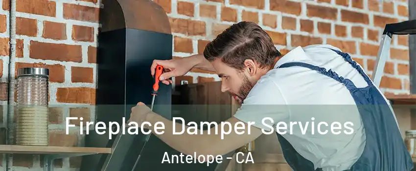  Fireplace Damper Services Antelope - CA