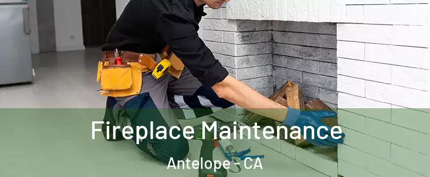  Fireplace Maintenance Antelope - CA