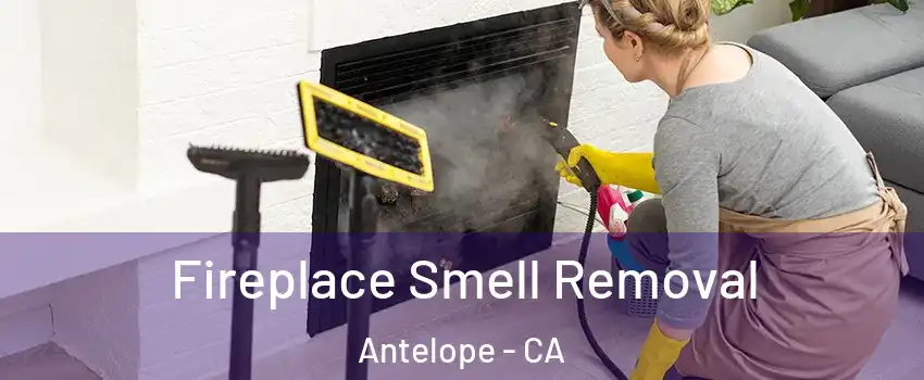  Fireplace Smell Removal Antelope - CA
