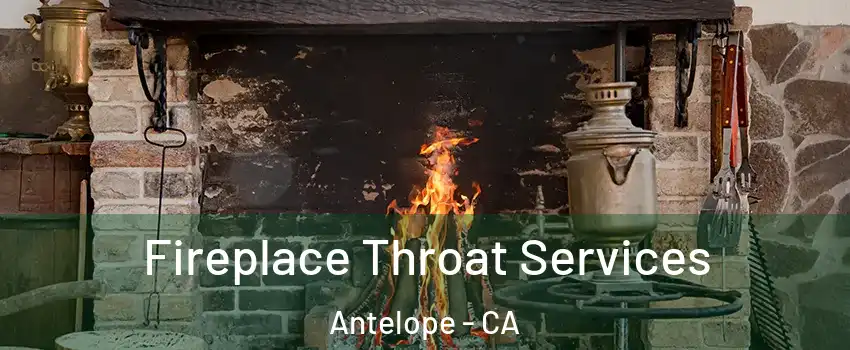  Fireplace Throat Services Antelope - CA