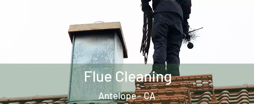  Flue Cleaning Antelope - CA