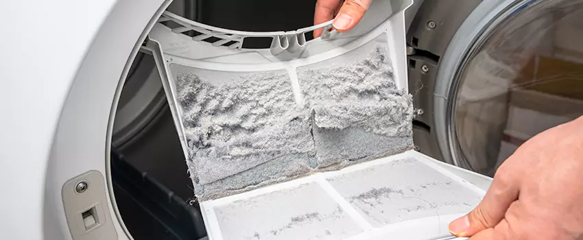Best Dryer Lint Removal Company in Antelope, California
