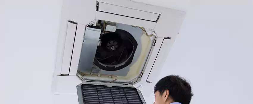 Benefits of Professional Air Duct Cleaning in Antelope, California