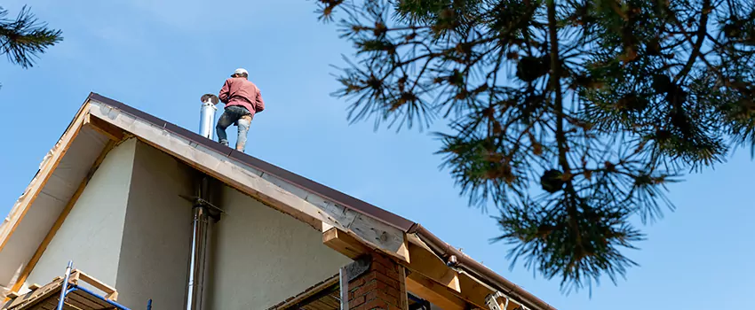 Birds Removal Contractors from Chimney in Antelope, CA