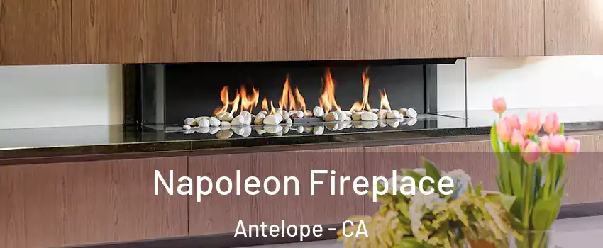  Napoleon Fireplace Antelope - CA