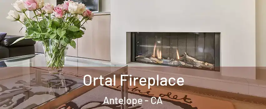 Ortal Fireplace Antelope - CA